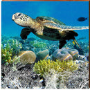 Sea Turtle Reef Life | Wall Art Print on Real Wood