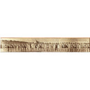 Sea Level Girls Bathing Beauties | Wall Art Print on Real Wood