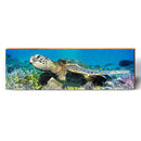 Sea Turtle Reef Life | Wall Art Print on Real Wood
