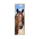 Harkers Island, North Carolian Horse Wooden Sign | Wall Art Print on Real Wood