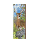Seneca Caverns, OH Buck | Wall Art Print on Real Wood