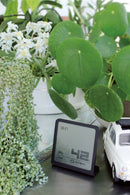 Refurbished SELINA Hygrometer