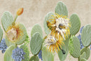 Contemporary Cactus Flowers Wallpaper Contemporary