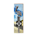 Highway 58 Pelican on Piling | Real Wood Art Print