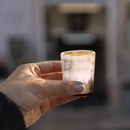 Horn Whiskey Shot Glasses Pack 6 - Holds Upto 6.5 oz, Natural