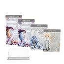 Multi Shabbos & Yom Tov Set - Artwork