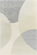 Cassiopeia Gray & Beige Area Rug