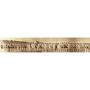 SIM5-BAT2L-1 | Wall Art Print on Real Wood