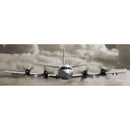 SIM5-SIM5C58M-P3 | Wall Art Print on Real Wood
