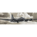 SIM5-SIM5C60M-B17 | Wall Art Print on Real Wood