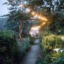 SL101 3000K Warm White LED Low Voltage Bistro String Lights 48 FT Outdoor Weatherproof 12V Edison Bulbs
