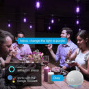 SLR100 LED RGBCWIC Smart Bistro String Lights Color Changing Outdoor Weatherproof 12V Edison Bulbs