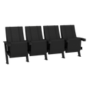 SuiteMax 3.5 VIP Seats with Toronto Raptors Primary 2019 Champions Logo
