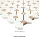Bianco Dolomite Crema Dotty 12.88" x 12.88" Polished Marble Mesh-Mounted Mosaic Tile Pattern-MSI Collection