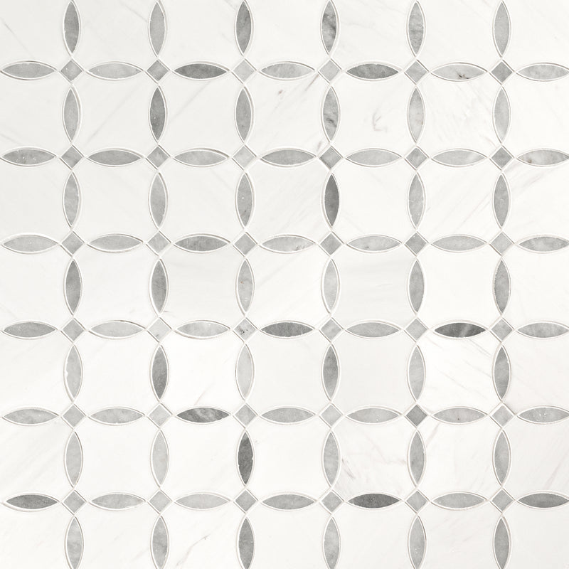 Bianco Dolomite Lola 10.25"x10.25" Polished Marble Mosaic Floor and Wall Tile - MSI Collection wall view