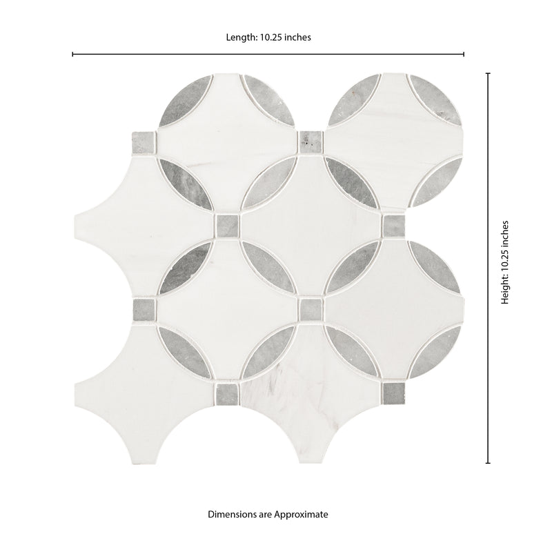 Bianco Dolomite Lola 10.25"x10.25" Polished Marble Mosaic Floor and Wall Tile - MSI Collection measurement view