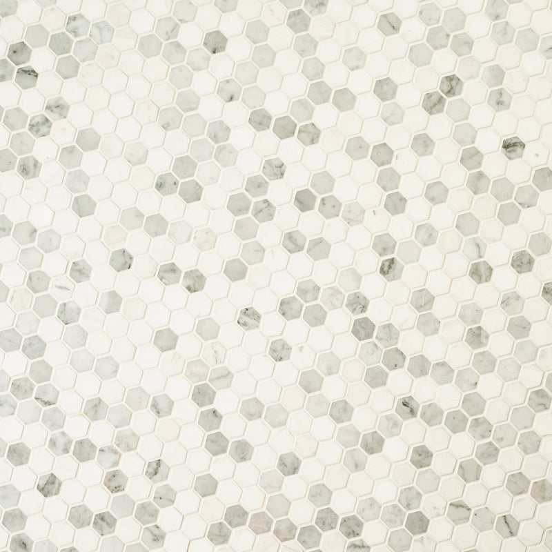 Binaco Dolomite Tibi 12"x12" Polished Marble Floor And Wall Tile - MSI Collection closeup view