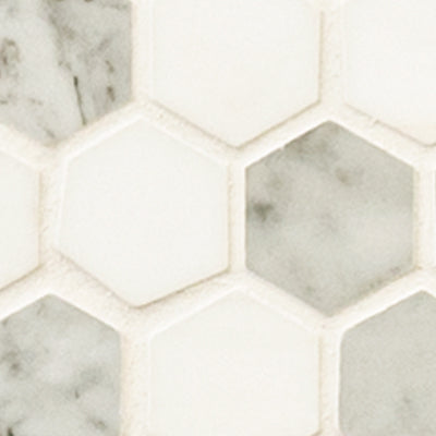 Binaco Dolomite Tibi 12"x12" Polished Marble Floor And Wall Tile - MSI Collection closeup view 2