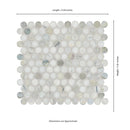 Cloudland Round Pattern 12"x12" Polished Marble Mosaic Floor and Wall Tile - MSI Collection