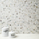 Cloudland Round Pattern 12"x12" Polished Marble Mosaic Floor and Wall Tile - MSI Collection