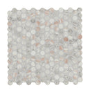 Briar Rosa Pennyround 12"x12" Matte Glass Floor and Wall Tile - MSI Collection