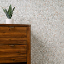 Briar Rosa Pennyround 12"x12" Matte Glass Floor and Wall Tile - MSI Collection