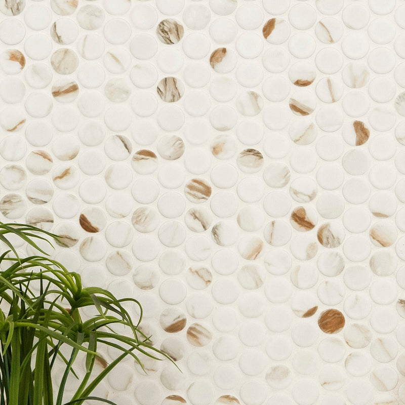 Calacatta Gold 12"x10" Round Matte Porcelain Floor and Wall Tile - MSI Collection plant view