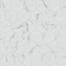 Carrara Hexagon 11"x13" Matte Porcelain Mosaic Floor And Wall Tile - MSI Collection