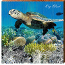 Key West Sea Turtle | Wall Art Print on Real Wood