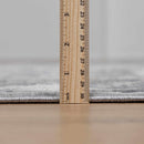 Speaks Traditional Textured Luxe Rug