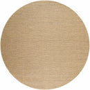 Zeta Flatweave Faux Jute Rug