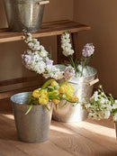Galvanized Bucket Planter