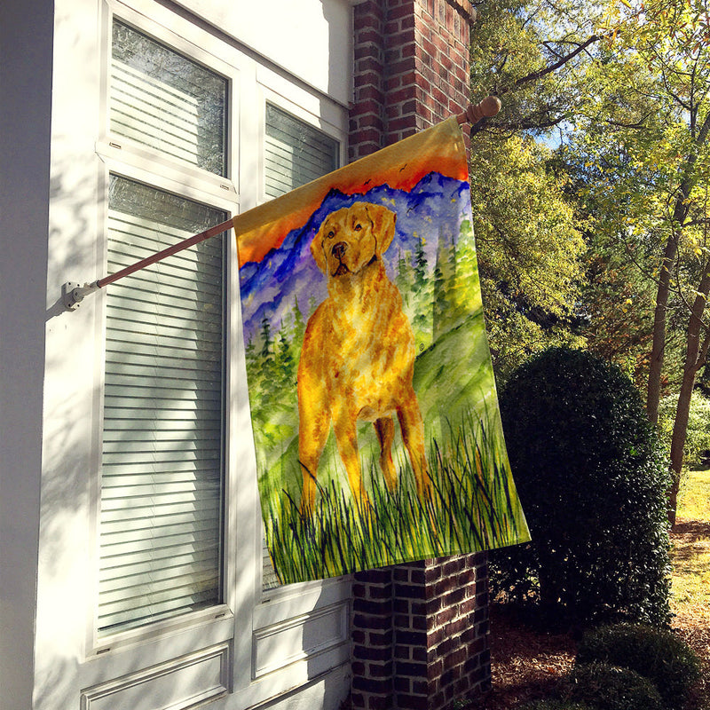 Chesapeake Bay Retriever Flag Canvas House Size