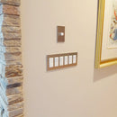 CleanPlate Wall Plate in Stainless Steel for Rocker Switches