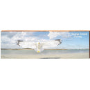 St. George Island Sea Gull | Wall Art Print on Real Wood