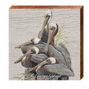 Art Lamay's Pelicans at St. George Island | Wall Art Print on Real Wood