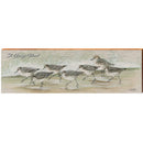 Art Lamay's Sand Pipers at St. George Island | Wall Art Print on Real Wood