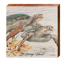 Art Lamay's Sea Turtles at St. George Island | Wall Art Print on Real Wood
