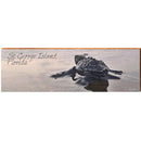 St. George Island Baby Turtle | Wall Art Print on Real Wood