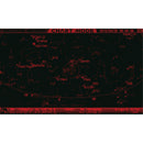 SPHINX SXD2 Equatorial GoTo Mount with PF-L Pole Viewfinder