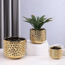 DecorBites™ Gold Ceramic Flower Pot Succulent Vase Terrarium Plant Pots for Home Balcony Decor
