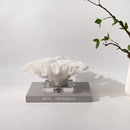 DecorBites™ Coral Tree Resin Handicrafts with Crystal Base for Home Decor