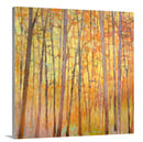 Saccades  XIII - Limited Edition Canvas Print