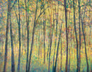 Saccades XII - Limited Edition Canvas Print