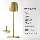 DecorBites™ 2023 Plodina USB Rechargeable Acrylic Table Lamp
