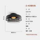 DecorBites™ Glass LED Ceiling Light in Amber/Gray/Green - Modern Indoor Lighting for Various Spaces