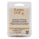 Eucalyptus Sandalwood Scented Wax Melts | 2.75 oz | Blended Light