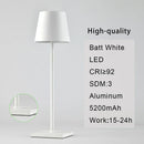 DecorBites™ 2023 Plodina USB Rechargeable Acrylic Table Lamp