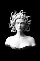 12style Choose Funny Art Sculpture Print Art Canvas Poster For Living Room Decor Home Wall Picture