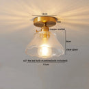 DecorBites™ LED Ceiling Lamps Modern Night Lights Fixtures for Living Room Balcony Chandelier